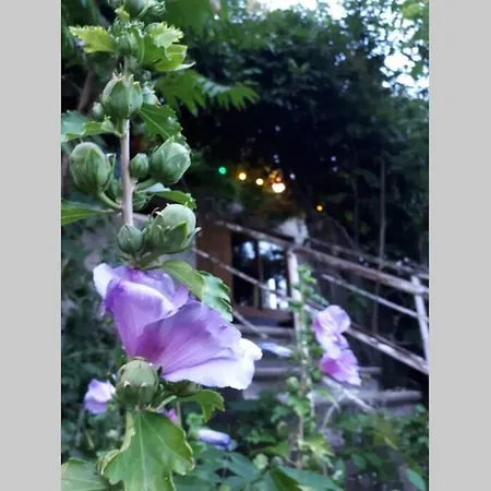 Maison 18 Pers. En Sud Ardeche, A 2 Pas D'aubenas 펜션